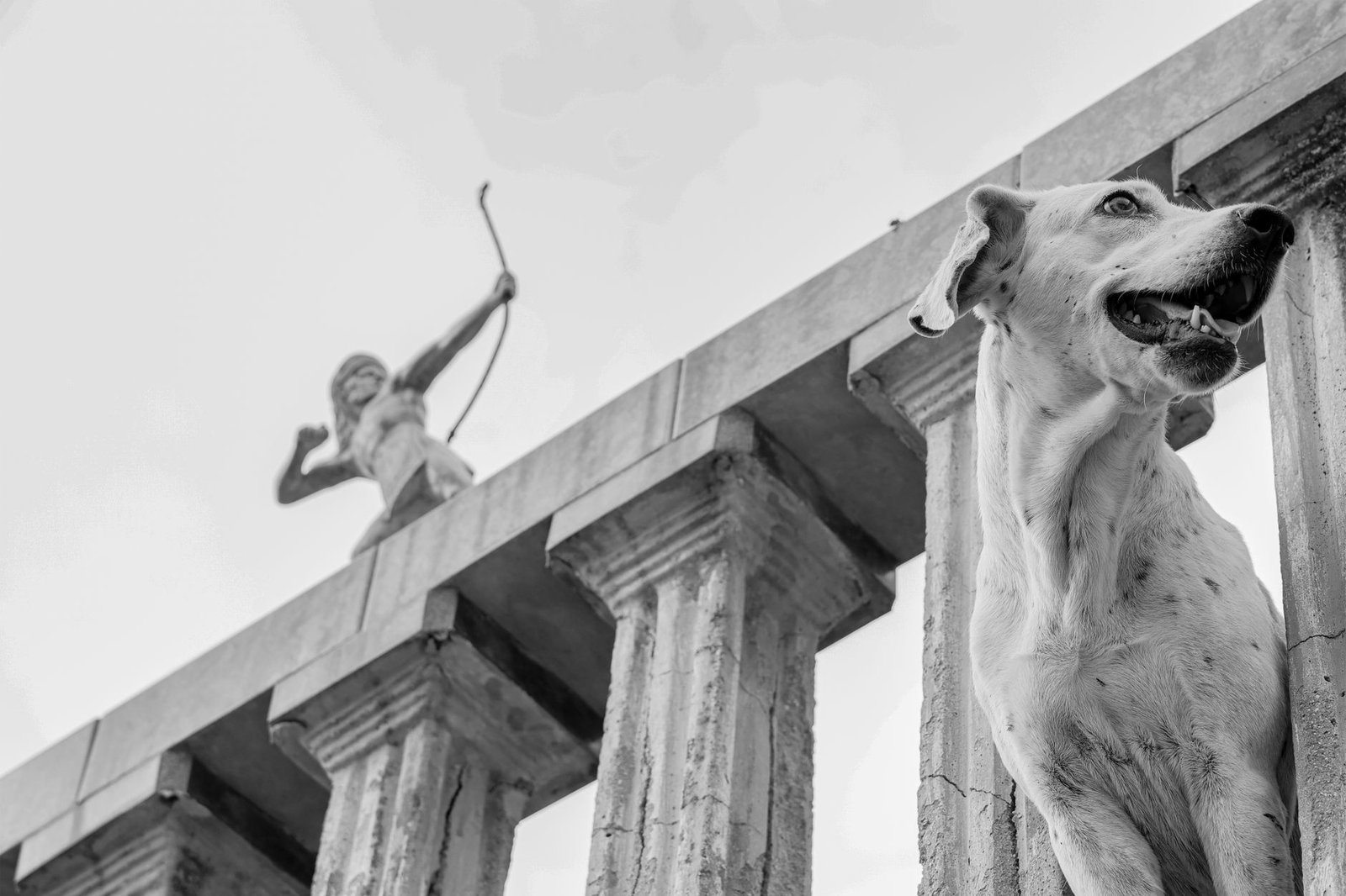 A dog sits on an archway with a statue of an archer in Ciudad Madero, Mexico.